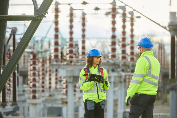 Best Electric Panel Repair  in St Bonifacius, MN