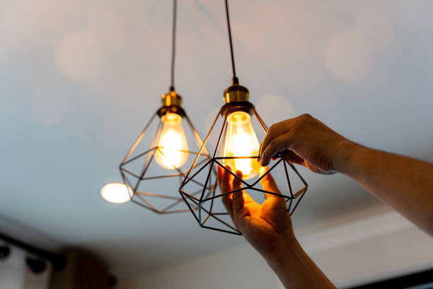 Best Circuit Breaker Repair  in St Bonifacius, MN