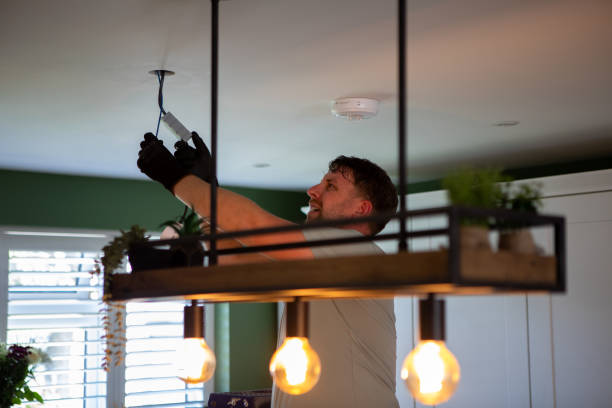 Best Electrical Upgrades for Homes  in St Bonifacius, MN