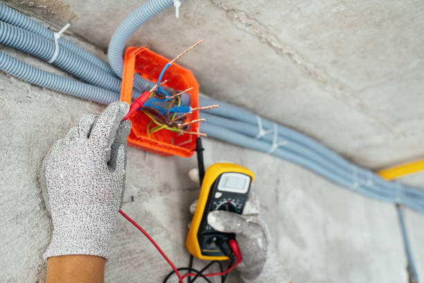 Best Local Electrician Companies  in St Bonifacius, MN