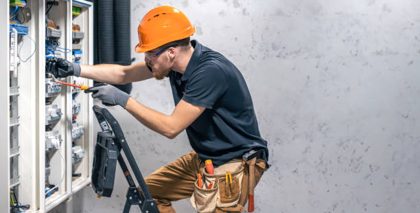 Best Licensed Electrician  in St Bonifacius, MN